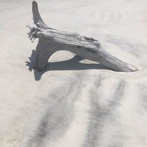 Meet your Posher, Maureen